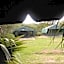 Cactus Eco Camp and Lodge