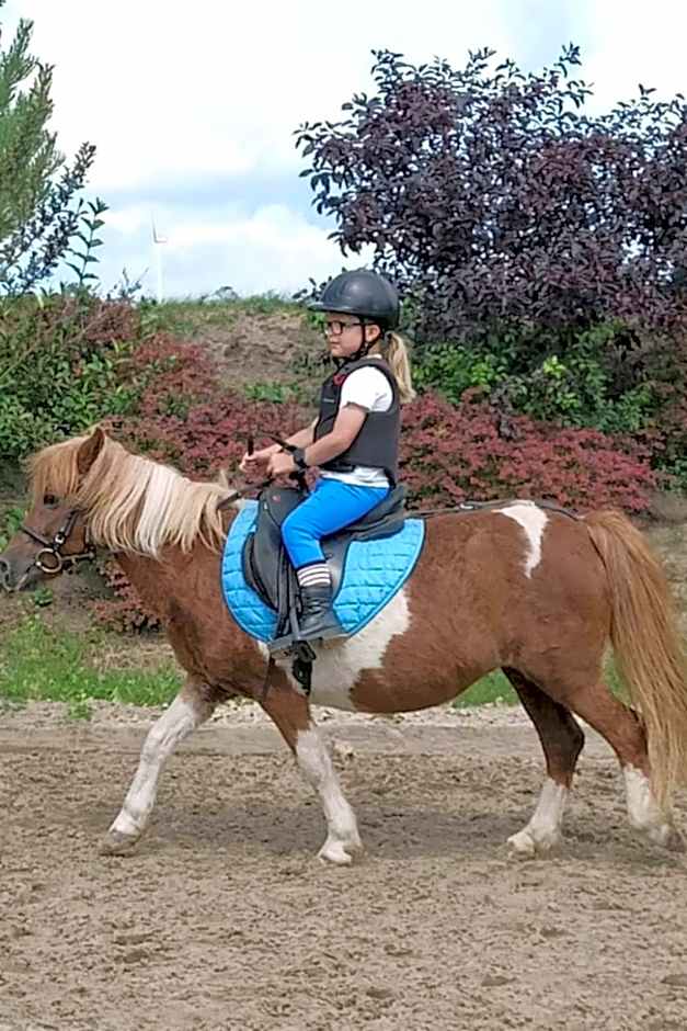Domek 1 w Rancho Żnin