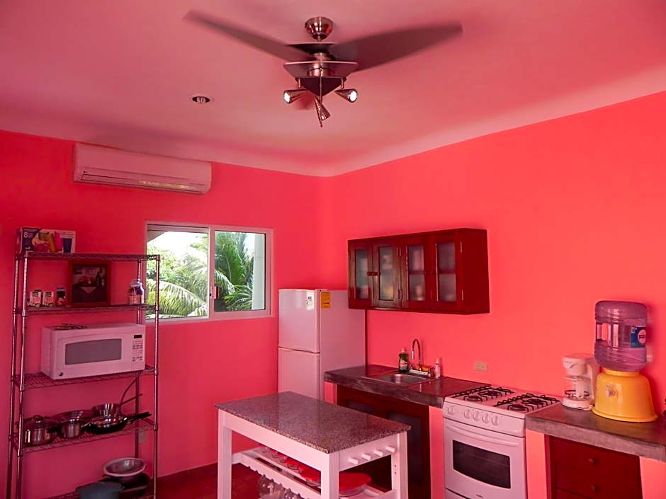 Casa Gatos
