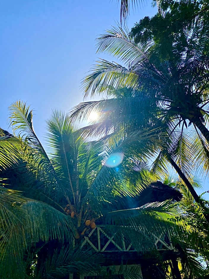 The Seles Boutique Hotel