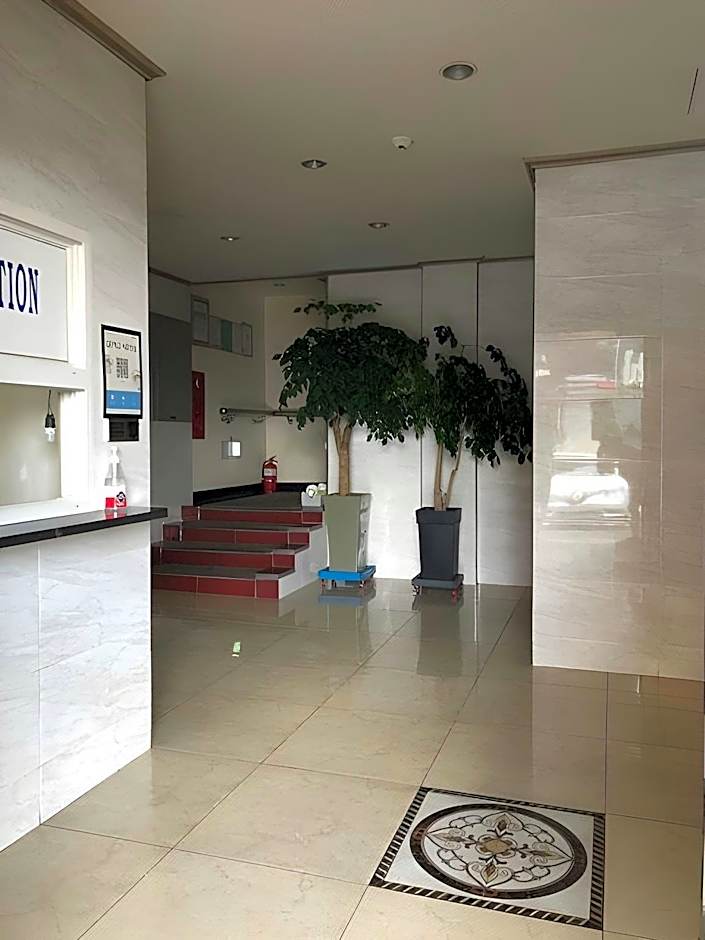 Lofy house