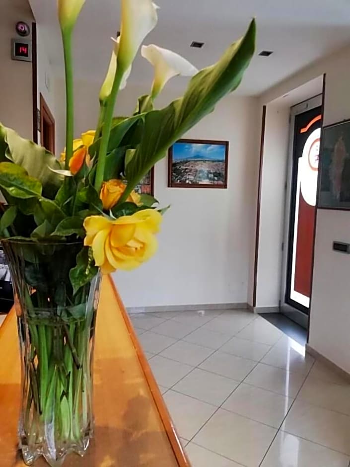 Central Room Fortuna