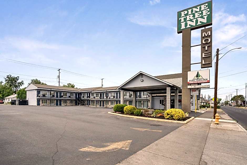 Pine Tree inn