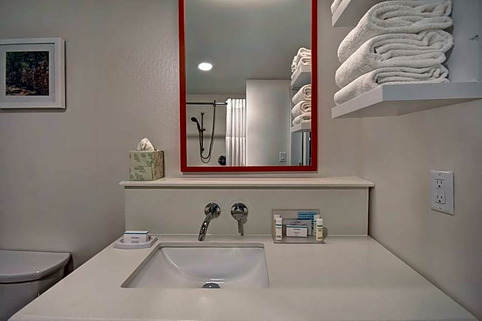 Hampton Inn By Hilton Birmingham-Colonnade 280