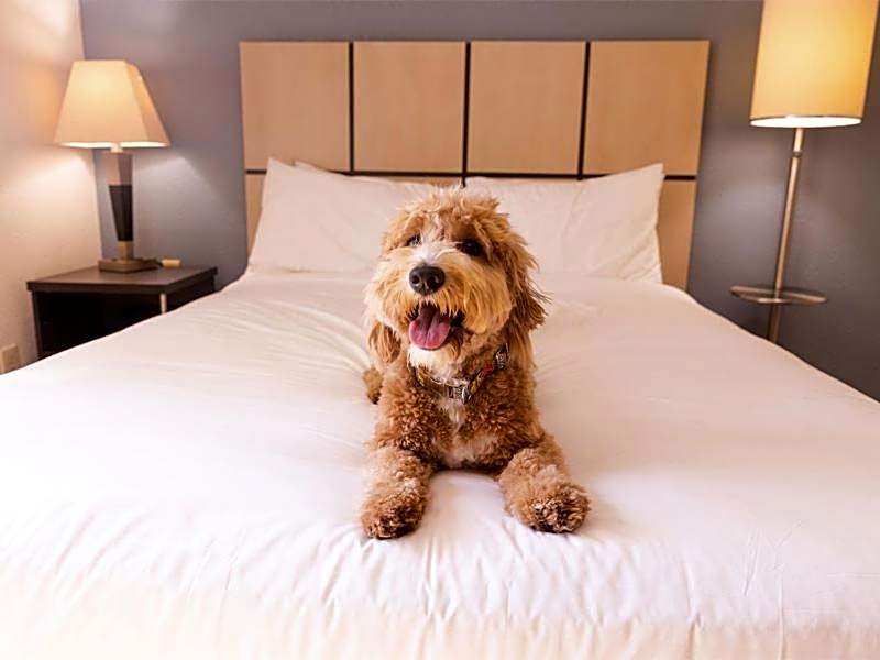 Candlewood Suites Wichita Airport By IHG