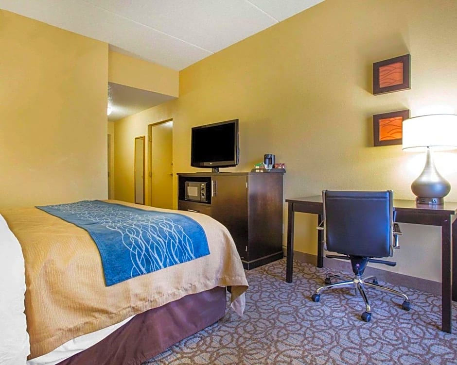 Comfort Inn & Suites At Stone Mountain