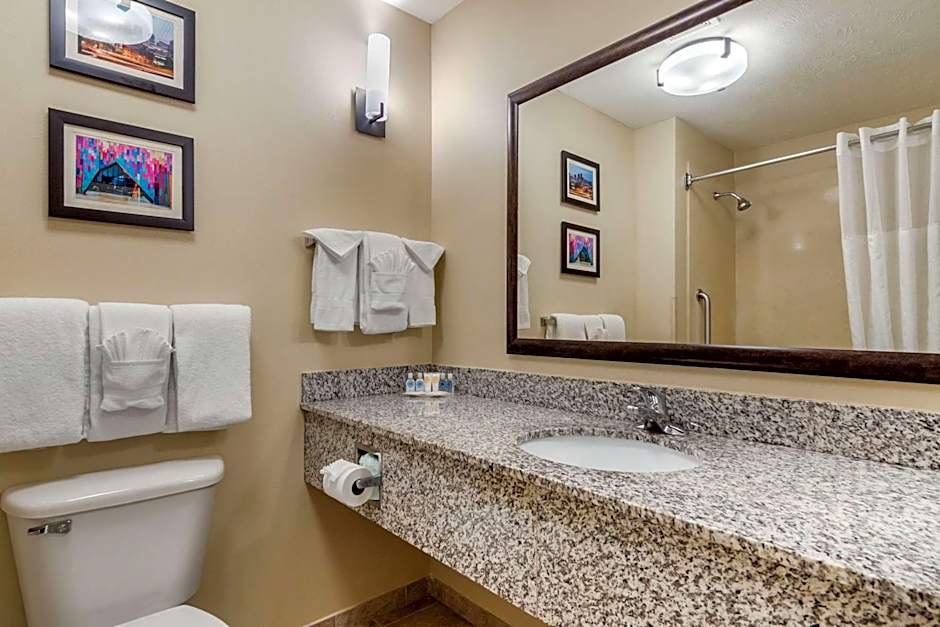 Comfort Suites Speedway - Kansas City