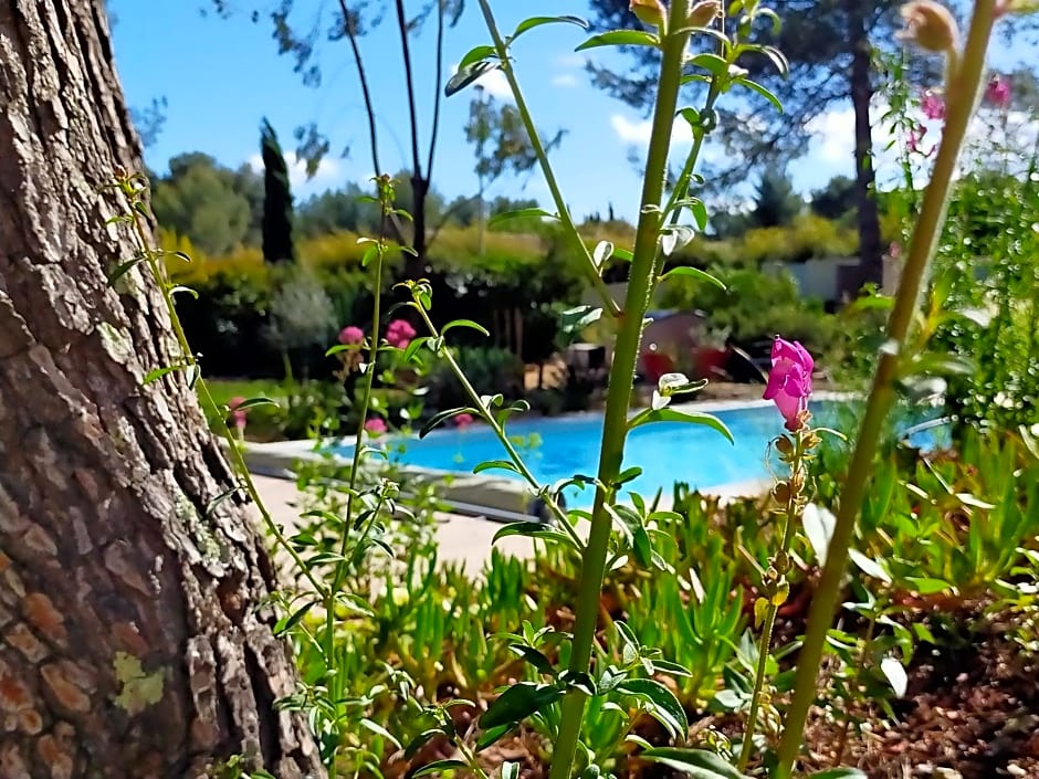 Studio Les Libellules – Castelnau le Lez, FL