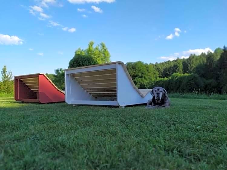 Seminar- und Erlebnishof Das schwarze Schaf