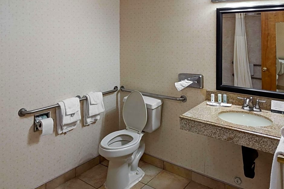 Quality Inn Salem - I-81