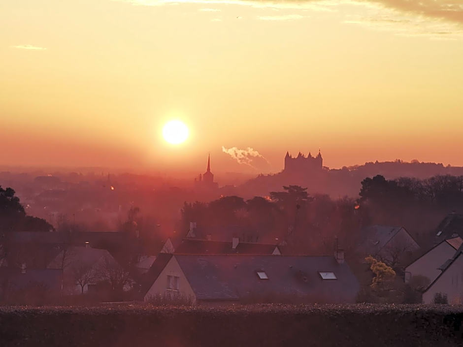 Les Terrasses de Saumur - Hotel & Appartements - Restaurant & Spa (Logis)