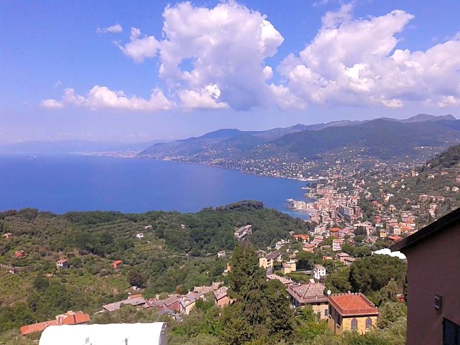B&B I Glicini