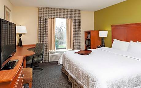 King Room with King Bed - Non-Smoking