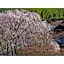 River Side Arashiyama - Vacation STAY 86277v