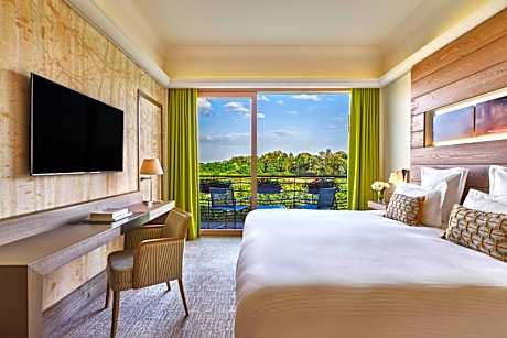 Superior double room with vineyard view