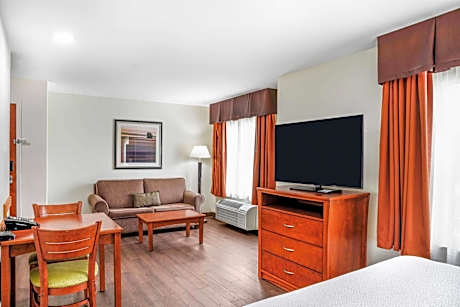Queen Studio Suite with Sofa Bed - Non-Smoking