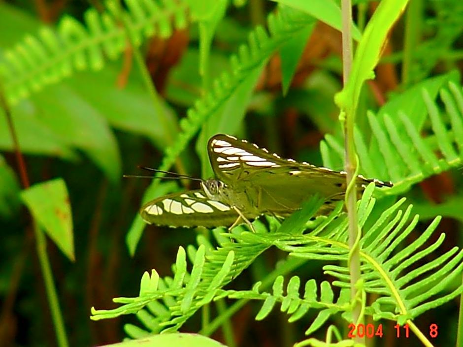 Boulder Garden Hotel