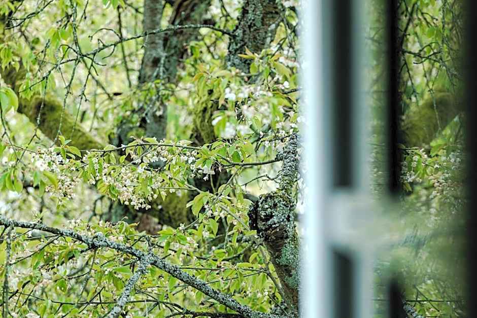 Romantik Hotel Neuhaus