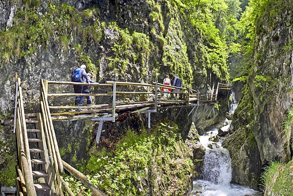 Dormio Aparthotel Hinterstoder