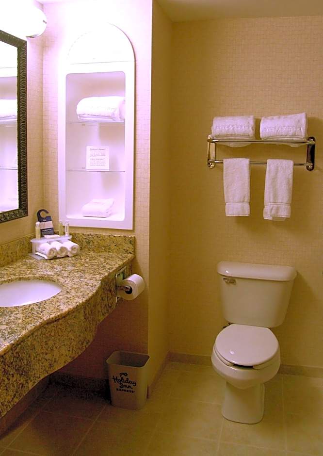 Holiday Inn Express Hotel & Suites Rochester By IHG