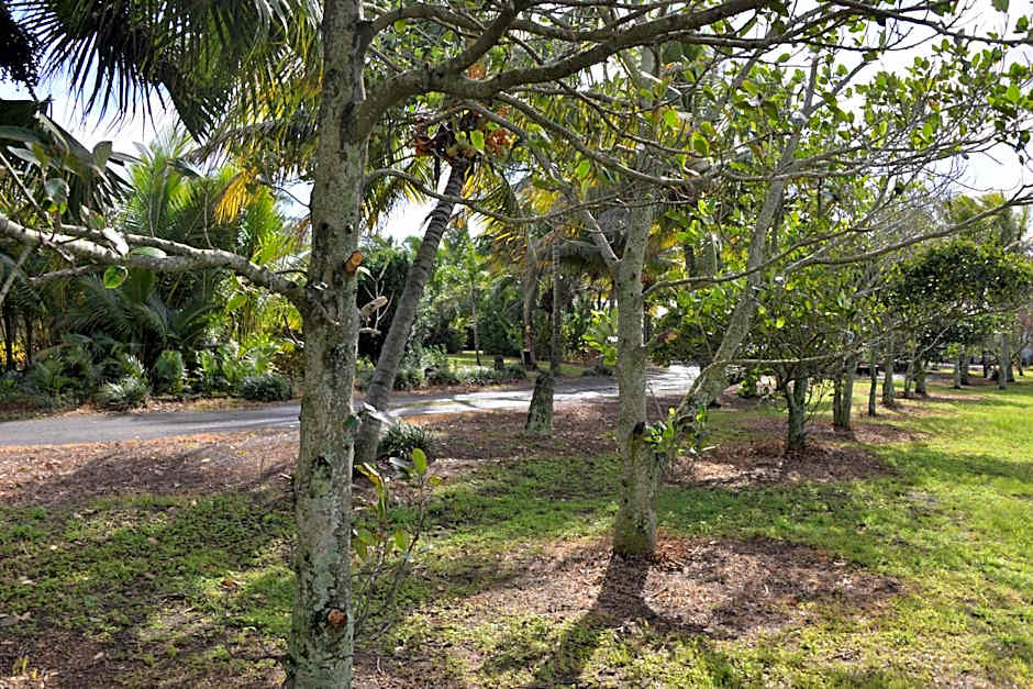 Domaine des Oiseaux Réunion