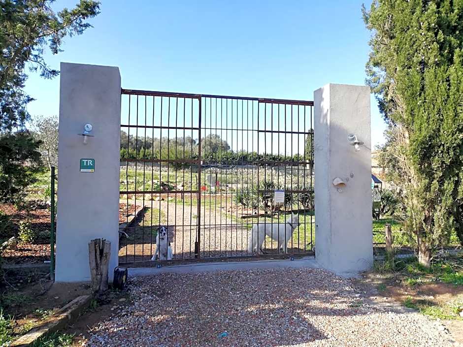 Mas Del Llop Blanc - Dog friendly Hostal Rural - B&B