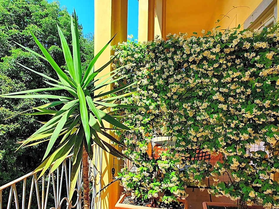Hotel Annalena