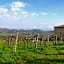 Agriturismo Il Casolare Di Bucciano