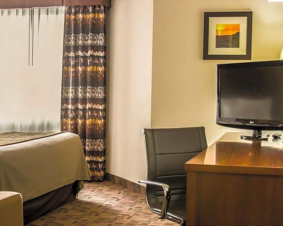 Comfort Inn Birch Run - Frankenmuth