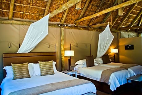 Tented Family Room - Wildside Safari Camp with 1 game drive