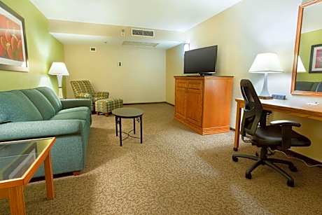 King Suite with Sofa Bed and Kitchen - Hearing Accessible, Tub