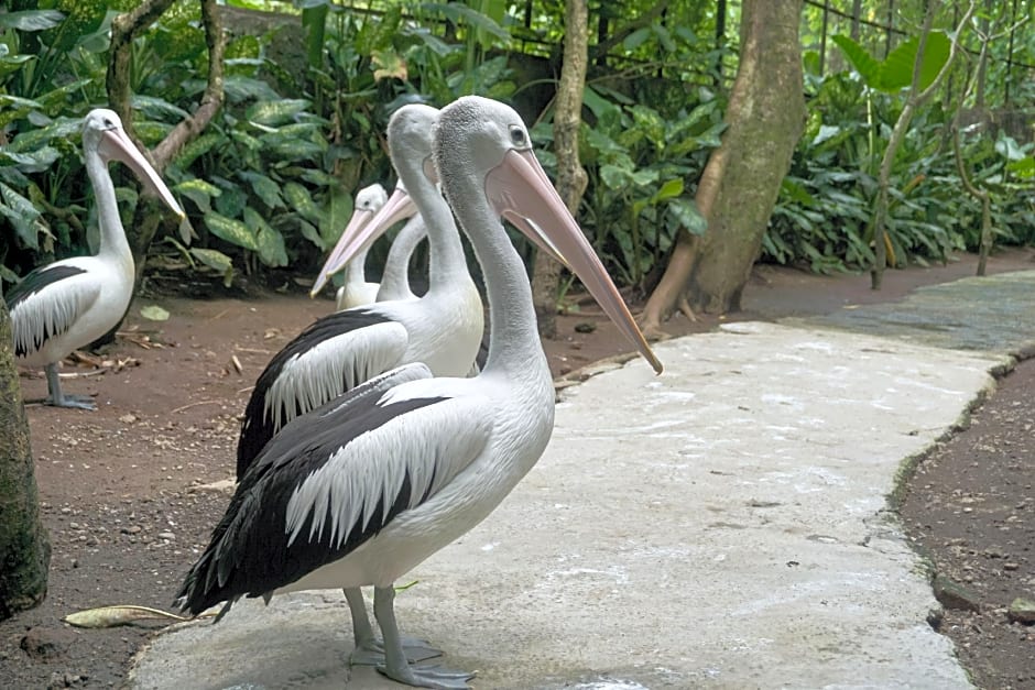 OYO Life 93125 Kos Bale Lumbung Syariah