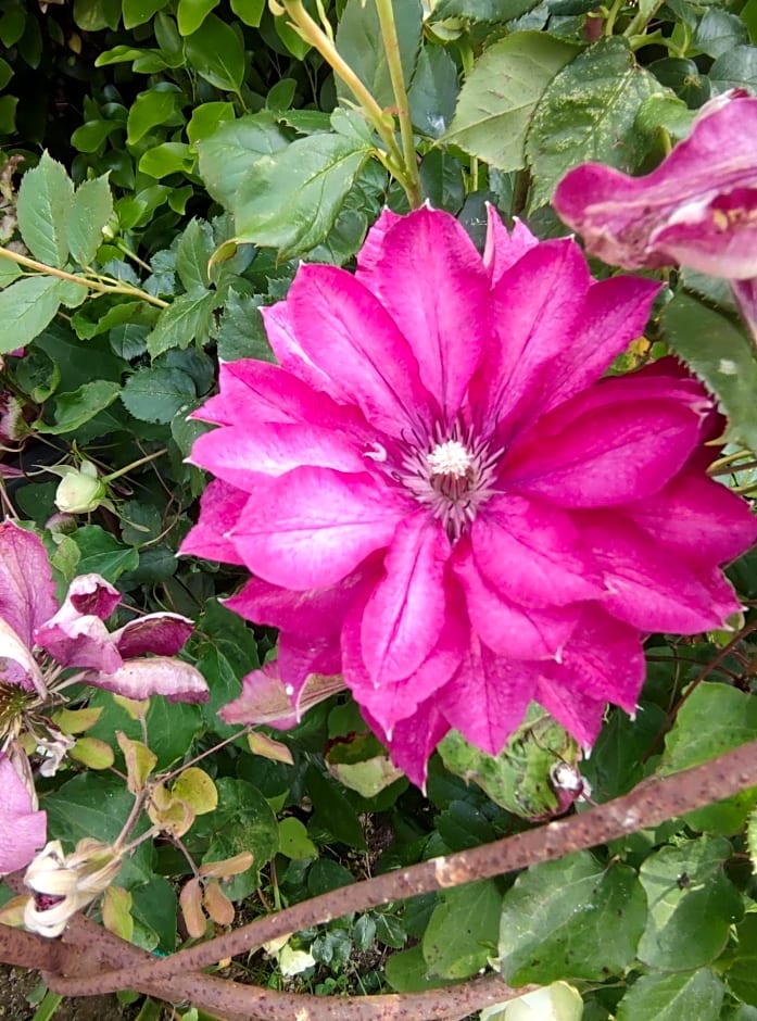 Les Chambres des Badious