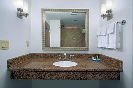 Standard King Room with Extra Space