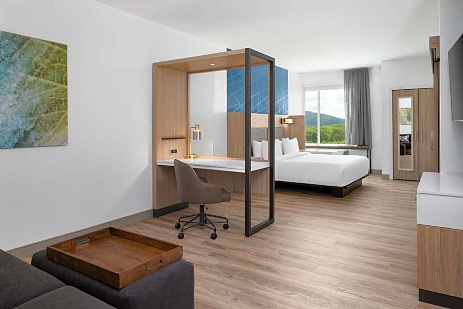 SpringHill Suites by Marriott Roanoke North