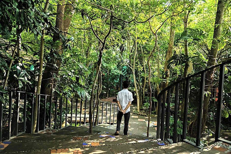 Hotel La Casa de los Árboles Immersive Experience