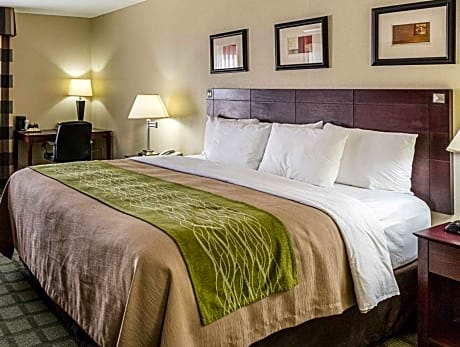 1 King Bed Nonsmoking