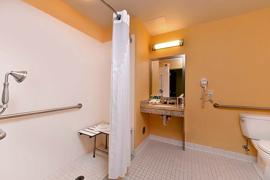 Holiday Inn Express and Suites Dickson City By IHG