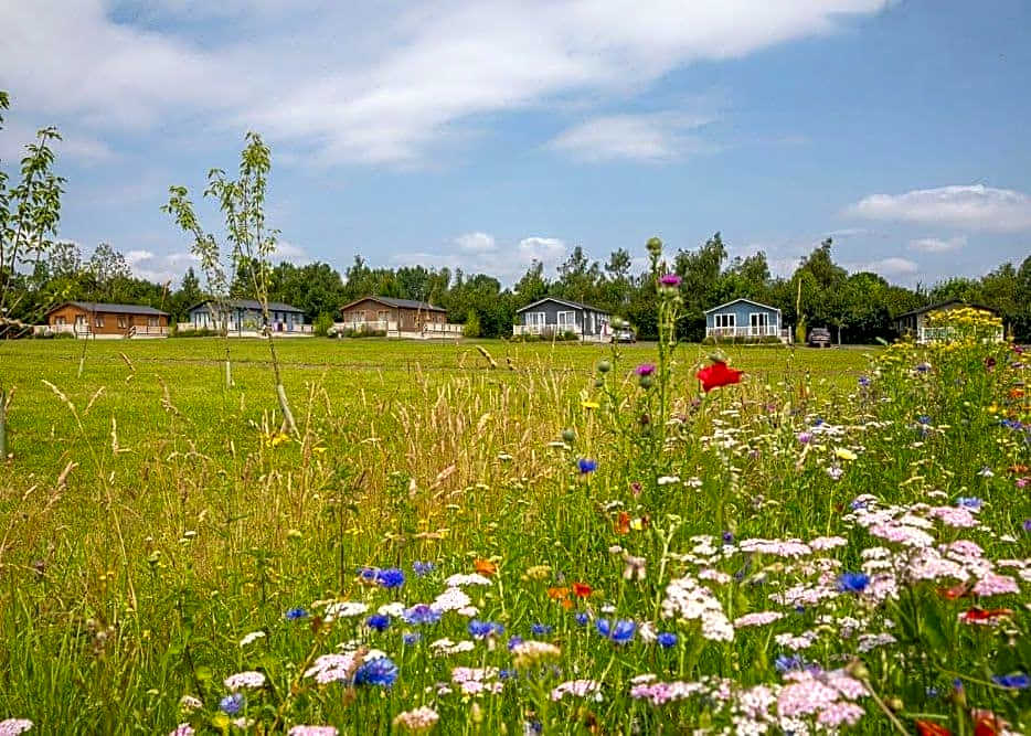 Otters Mead Boutique Lodges