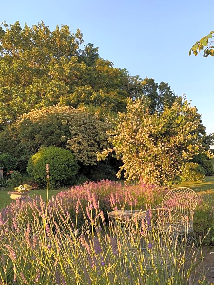 Cary Fitzpaine House