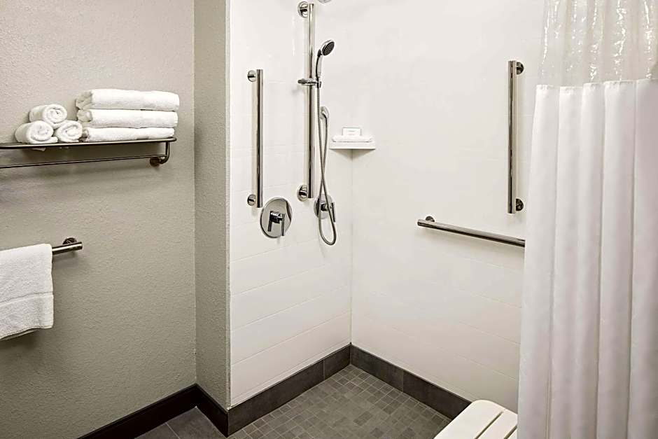 Hampton Inn By Hilton & Suites Houston Medical Center - Reliant Park