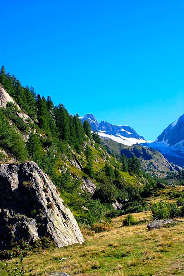 Alpenhotel zur Wildi Lauchernalp