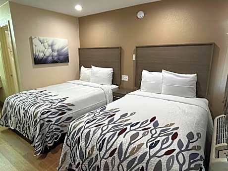 Standard Room with Two Double Beds Non-Smoking