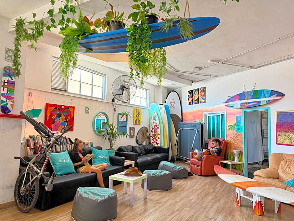 Medano Nest Hostel
