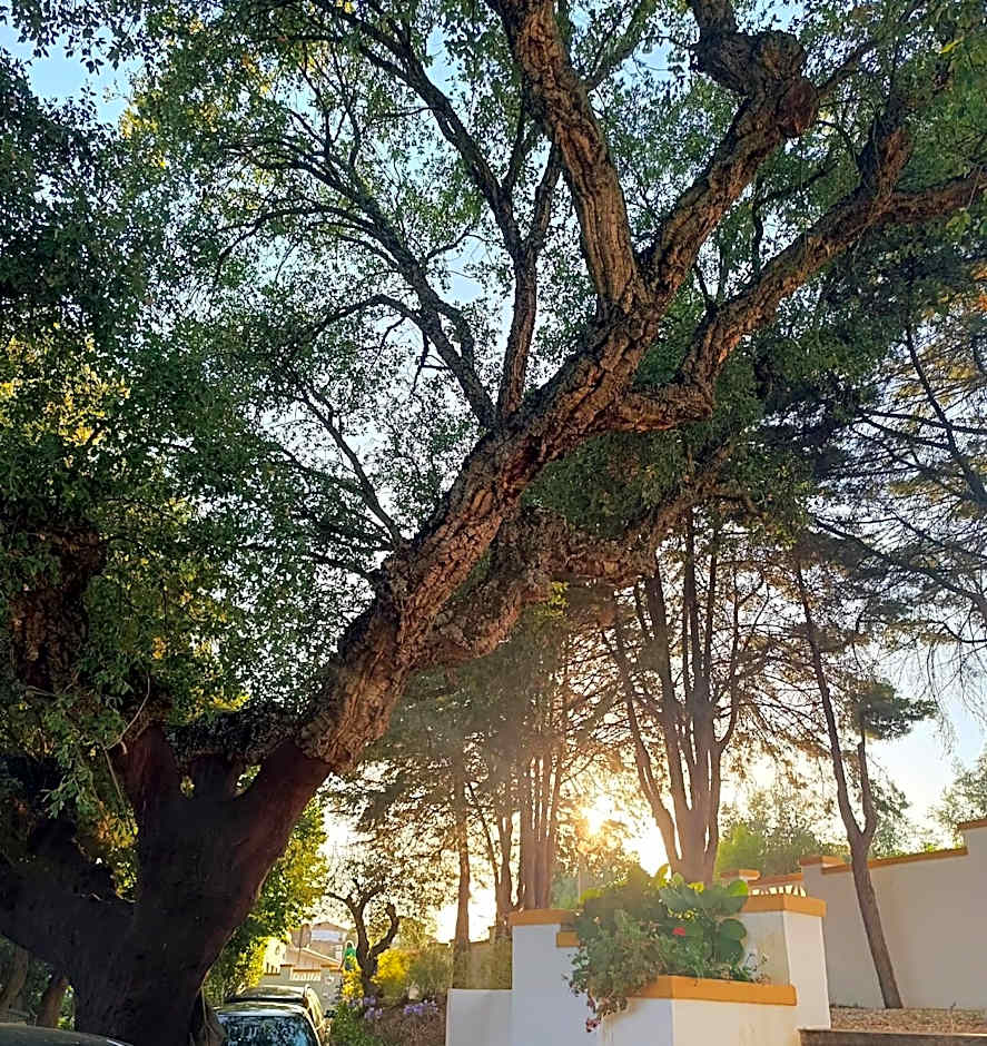 Casa da Praia do Ribatejo