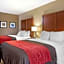 Comfort Inn and Suites