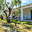 Villa Celeste Countryside Deluxe near the beaches of Sardinia