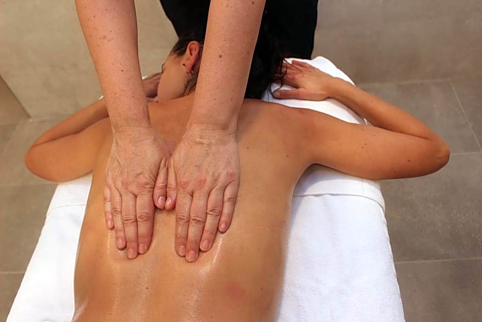 Hotel Spa Tudanca Aranda