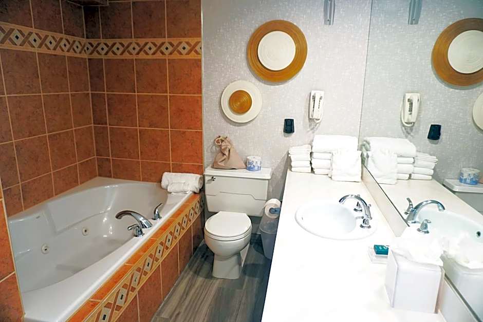 Hilton Appleton Paper Valley