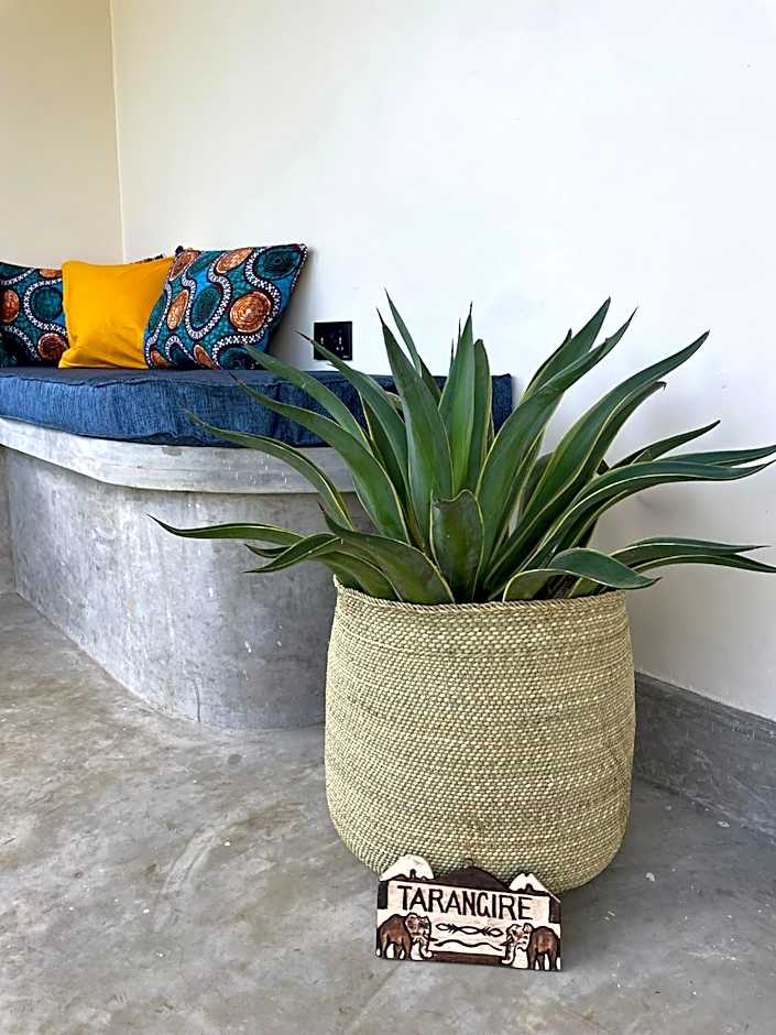 Tanzania Safari Lodge